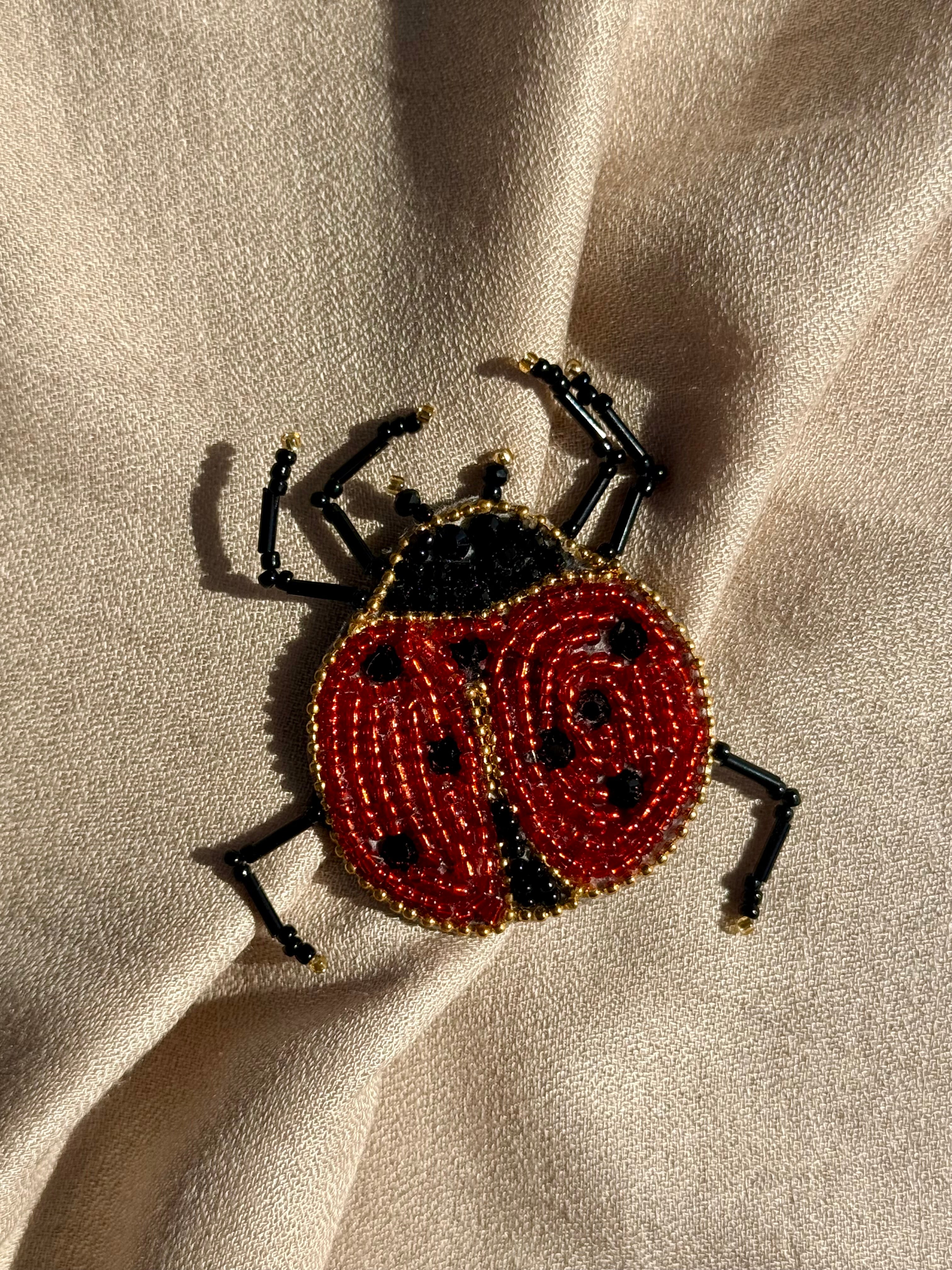 Ladybird Brooch